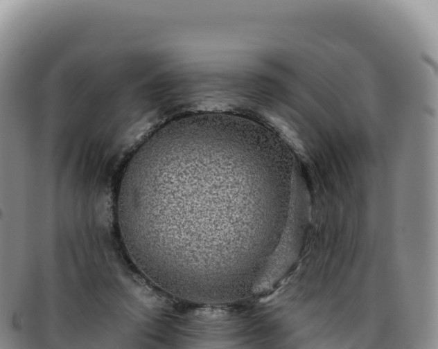 X0000096480354200801311601