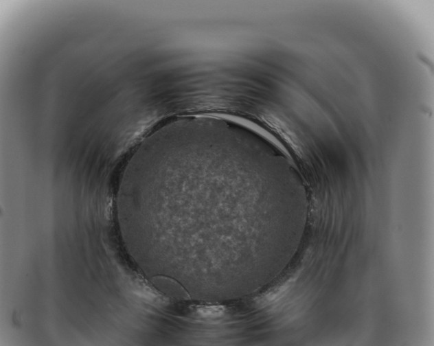 X0000096480355200801311601