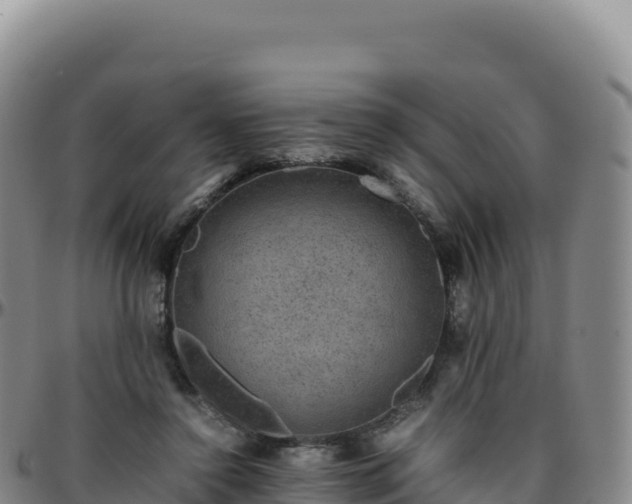 X0000096480356200801311601