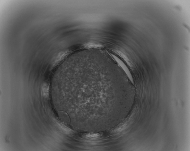 X0000096480357200801311601