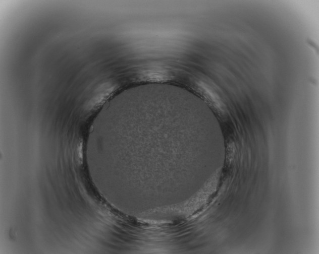 X0000096480358200801311601