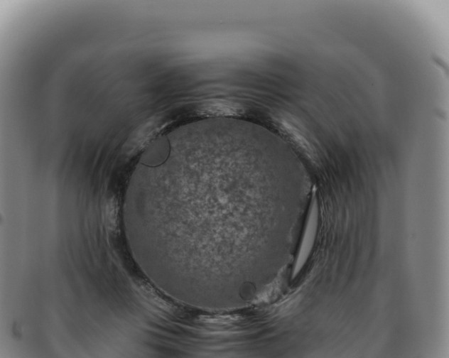 X0000096480359200801311601