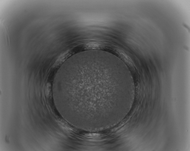 X0000096480361200801311601