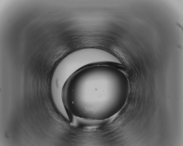 X0000096480362200801311601