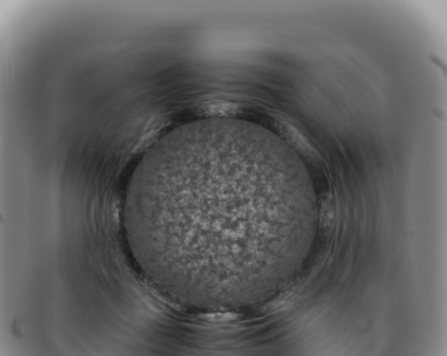 X0000096480363200801311601