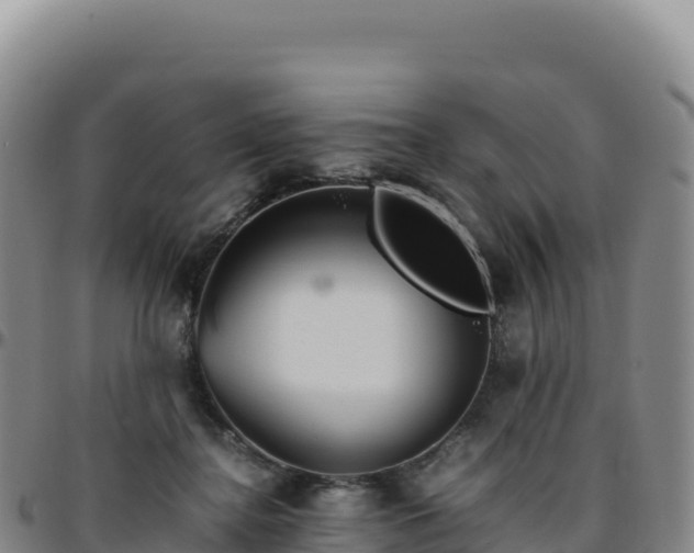 X0000096480364200801311601