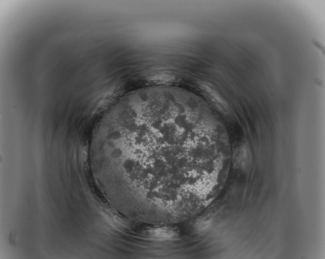 X0000096480365200801311601