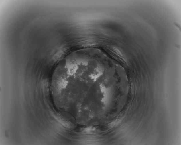 X0000096480366200801311601