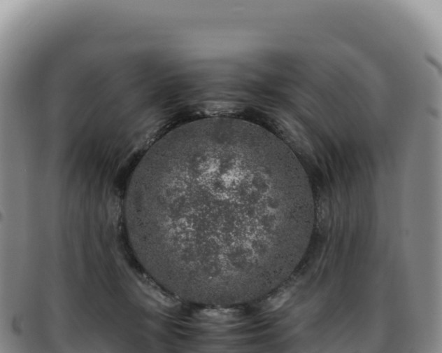 X0000096480367200801311601