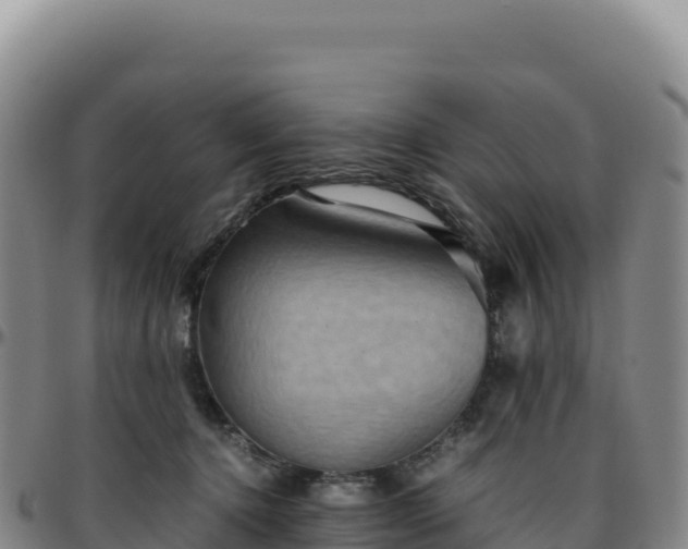 X0000096480368200801311601