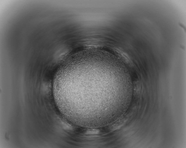 X0000096480369200801311601