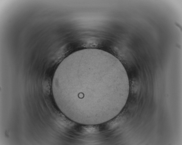 X0000096480370200801311601