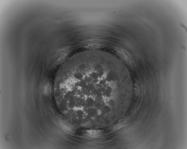 X0000096480371200801311601