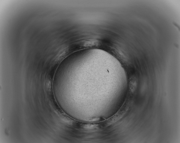 X0000096480375200801311601