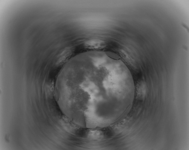 X0000096480376200801311601