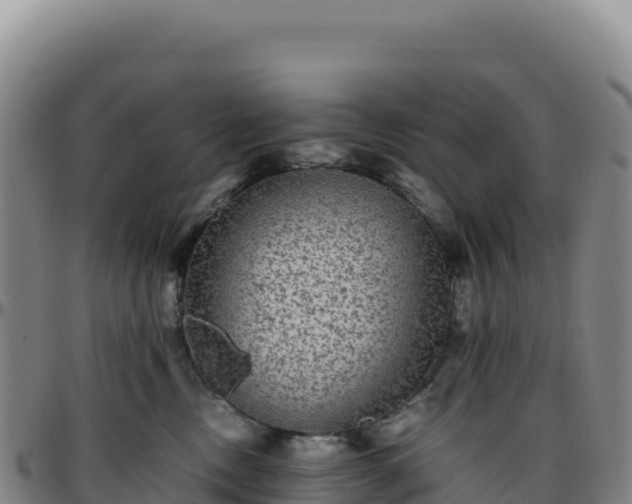 X0000096480378200801311601