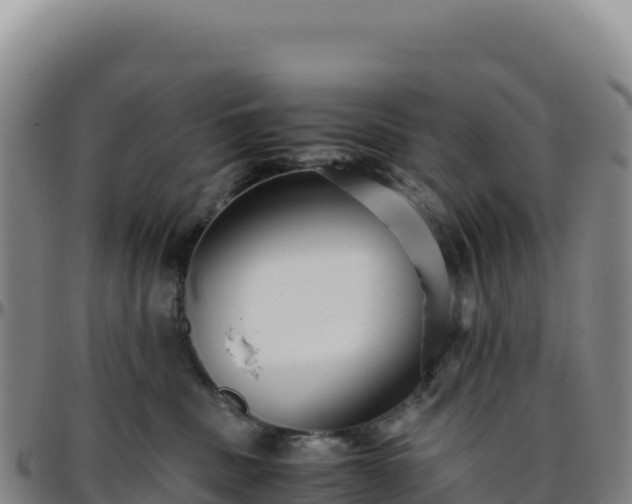 X0000096480379200801311601