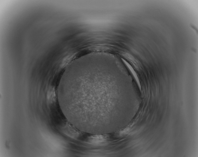 X0000096480381200801311601