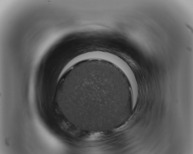 X0000096480382200801311601