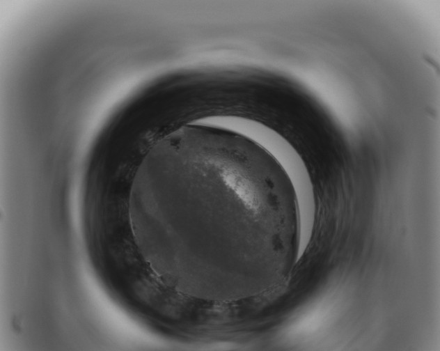 X0000096480383200801311601