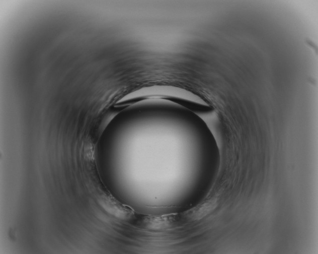 X0000096480384200801311601