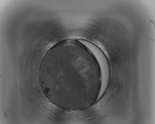 X0000096480385200801311601