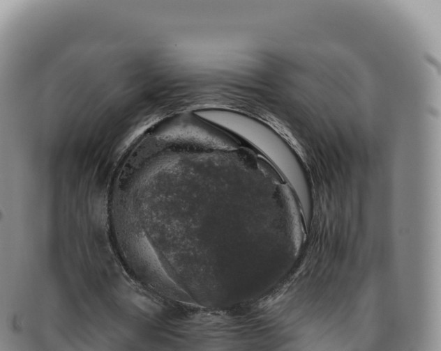 X0000096480386200801311601