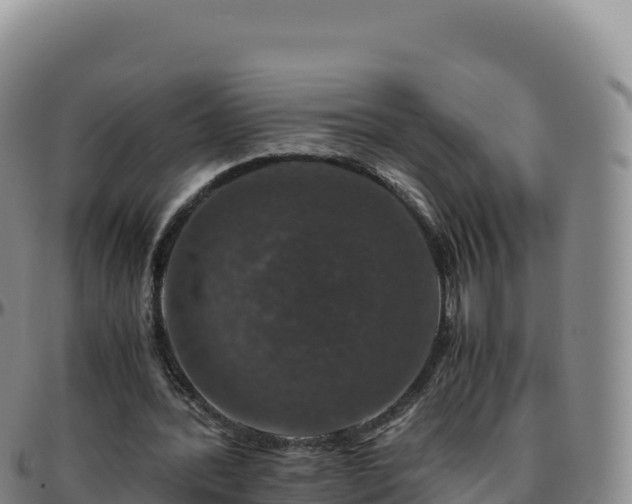 X0000096480388200801311600