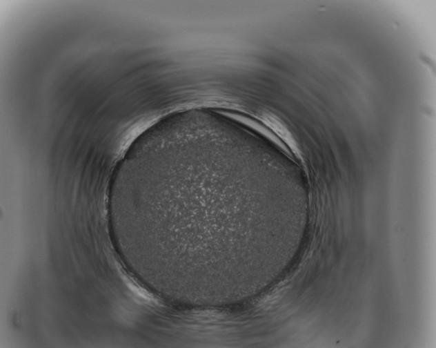 X0000096480389200801311600