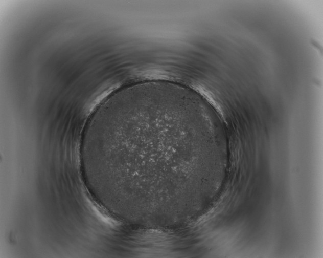 X0000096480390200801311600