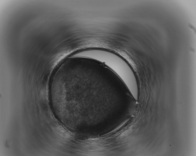 X0000096480391200801311600