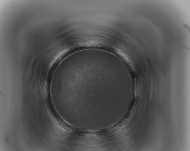 X0000096480392200801311600