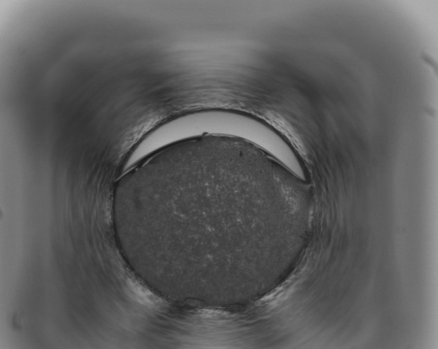 X0000096480393200801311600