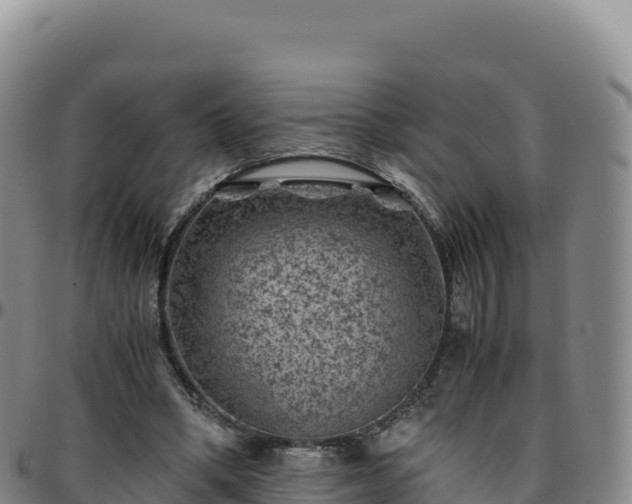 X0000096480394200801311600