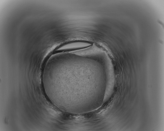 X0000096480395200801311600