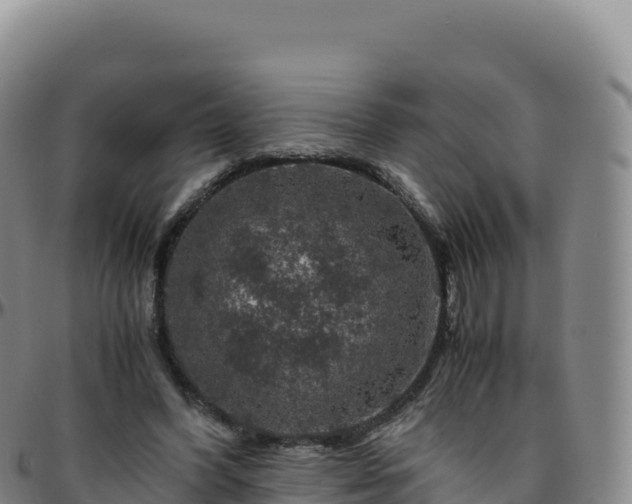 X0000096480396200801311600