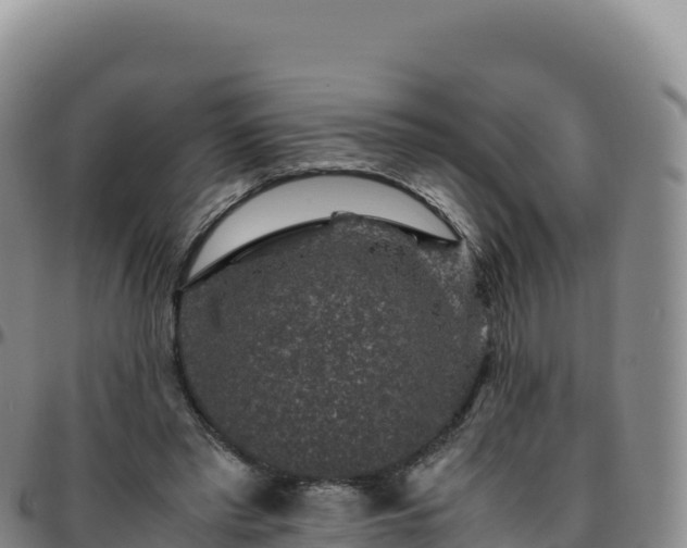 X0000096480397200801311600