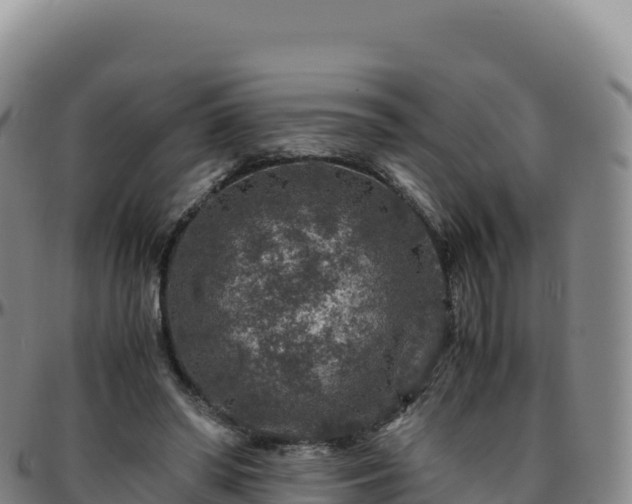 X0000096480398200801311600