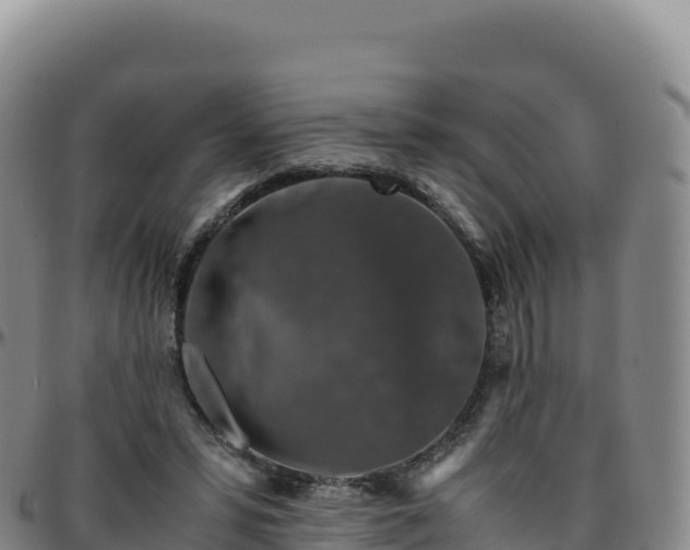 X0000096480399200801311600