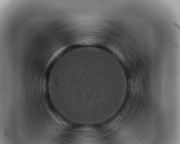 X0000096480400200801311600