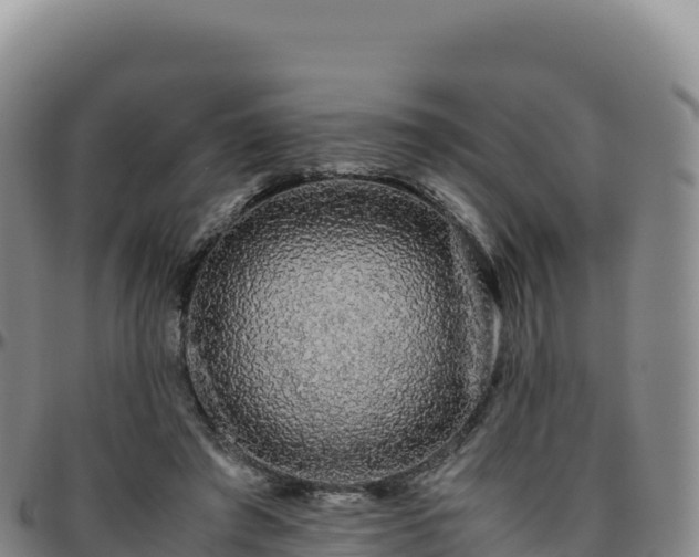 X0000096480401200801311600