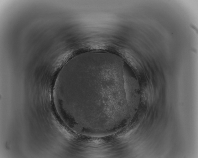 X0000096480402200801311600