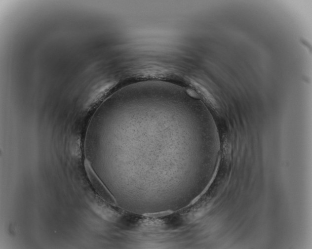 X0000096480403200801311600