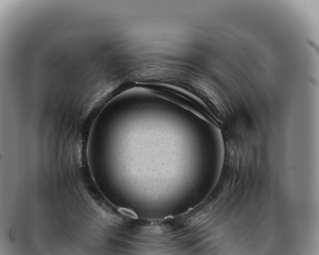 X0000096480404200801311600