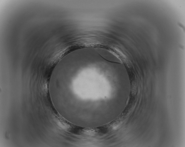 X0000096480405200801311600