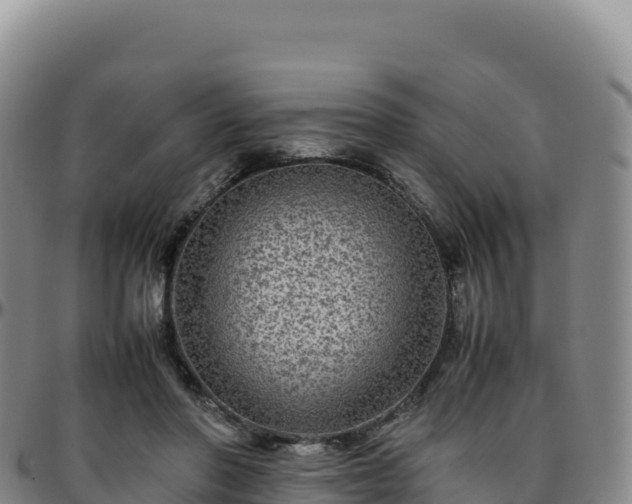 X0000096480406200801311600