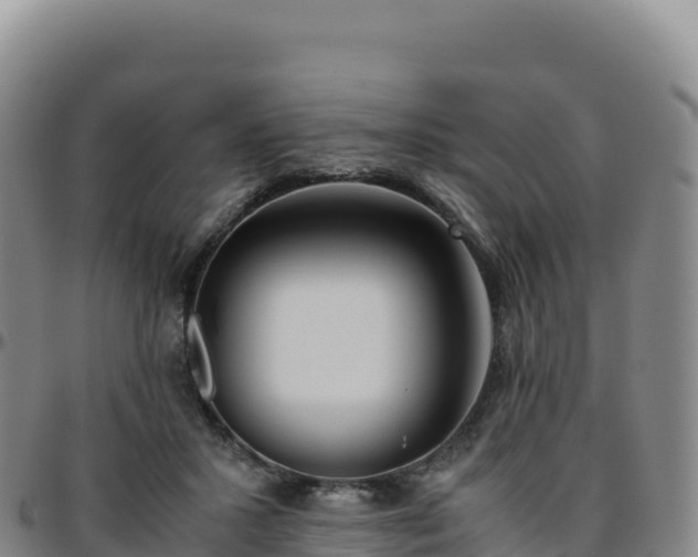 X0000096480407200801311600