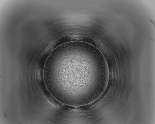 X0000096480408200801311600