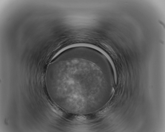 X0000096480409200801311600