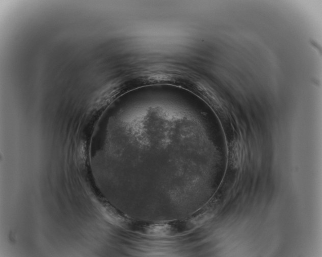 X0000096480410200801311600